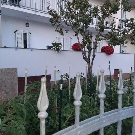 Apartment Bracic Водице Екстер'єр фото